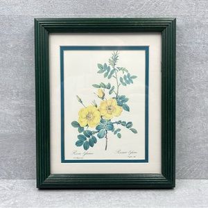 Rosa Eglanteria Art Print Matted Glass Framed by Pierre-Joseph Redoute 11x9 in